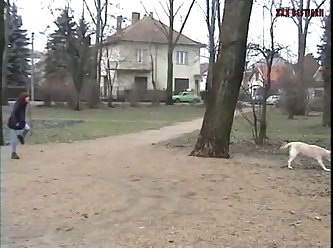 Animal Sex For Man