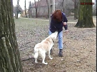 Animal Sex For Man
