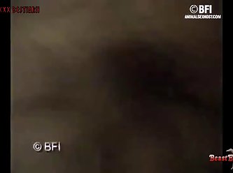 Hd Animal Sex Videos
