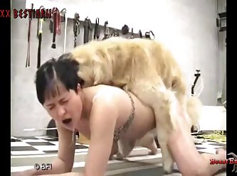 Sex Human With Animal