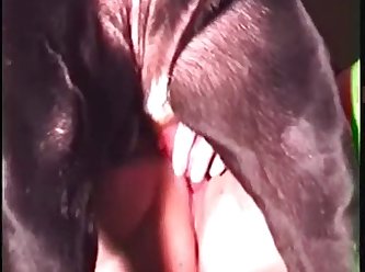Zoofilia Porno 2023