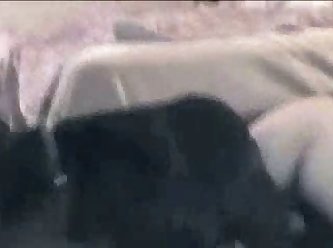 Zoofilia Latina Videos