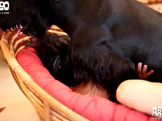 Katysancheski Zoofilia