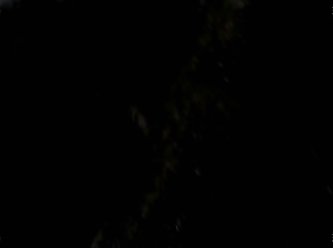 Creampie Anal Zoofilia