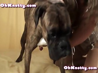 18 Teen Fuck Horse Zoofilia