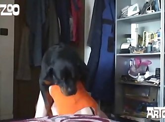 Videos Zoofilia Con Perras