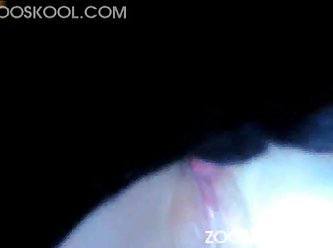 Pelis Gratis Zoofilia