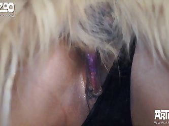 Zoofilia Con Cerdos Y Cerdas
