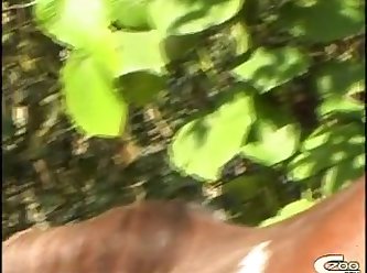 Videos Zoofilia Serpientes