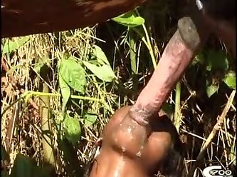 Videos Zoofilia Serpientes