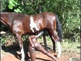 Porno Brutal Zoofilia Gratis