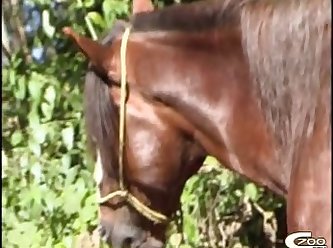 Zoofilia Carnero Con Mujer