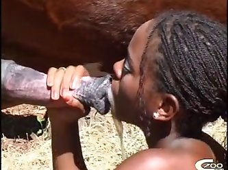 Zoofilia Sexo Com Animais