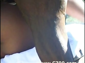 Zoofilia Gratis 2022