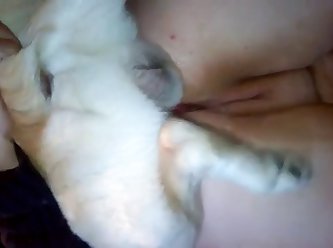 Oh Animal Loving Milf Mom Moaned. She Licked Her Lips And