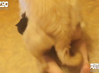German Shepherd Was He Was Only One Dog. One Sunny