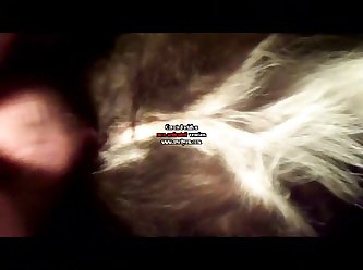 Animal Sex Porno Videos