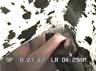 Porno Hentai Animal Gay