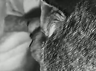V Porno Mulher E Animal