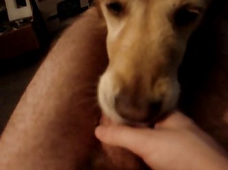 Porno Trepando Com Animal