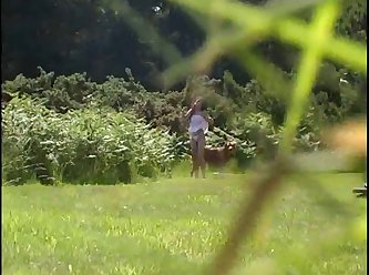 Videi Porno Com Animal