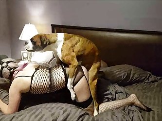 Porno Com Com Animal