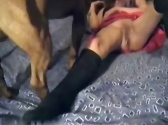 Vidio De Porno Animal