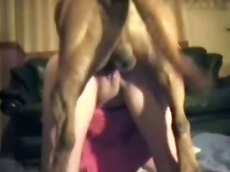 Vidio De Porno Animal