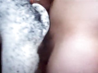 Sexo Animal No Porno Carioca