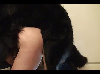 Animal Mulher Porno