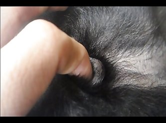 Porno Animal Petlust