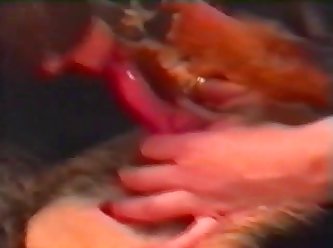 Videos Porno Lesbica Animal