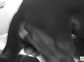 Animal Sex Fun Porno