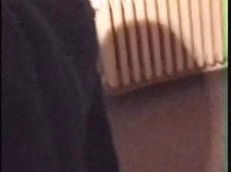 Porno Mulheres E Animal