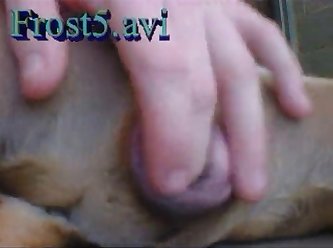 Vidio Porno Mulher Con Animal