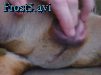 Vidio Porno Mulher Con Animal