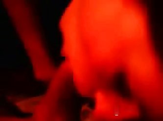 Vidios De Porno Animal