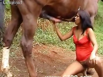 Best Ass In Porn Xxx