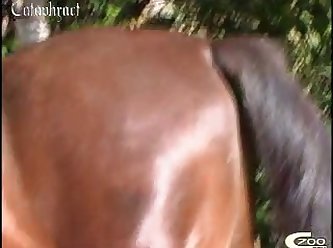 Smiling Critters Porn Rule 34 Xxx