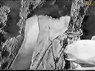 Markus Rokar Xxx Porn