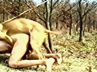 Xxx Porn Family Movies