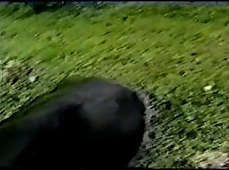 Dani Daniels Birthday Xxx Porn