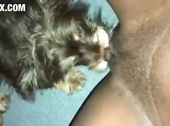 Xxx Porn Videos Call