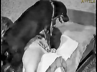 School Girl Porn Video Xxx