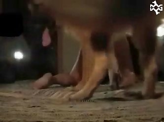 Cornstarch Pocket Pussy Xxx Porn