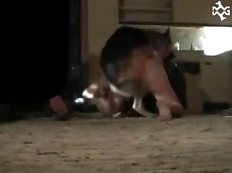 Cornstarch Pocket Pussy Xxx Porn