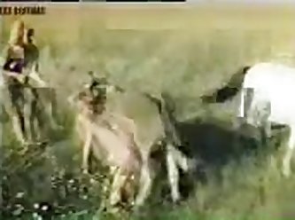 Free Sex Porn Xxx Videos