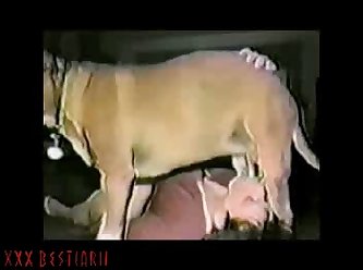 Xxx 27 Ameteur Porn Comics