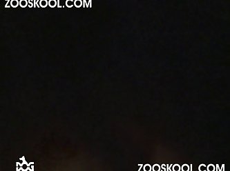 Best Xxx Porn Download