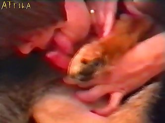 Xxx Full Hd Porn Hub